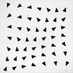 C 0019