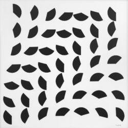 C 0027