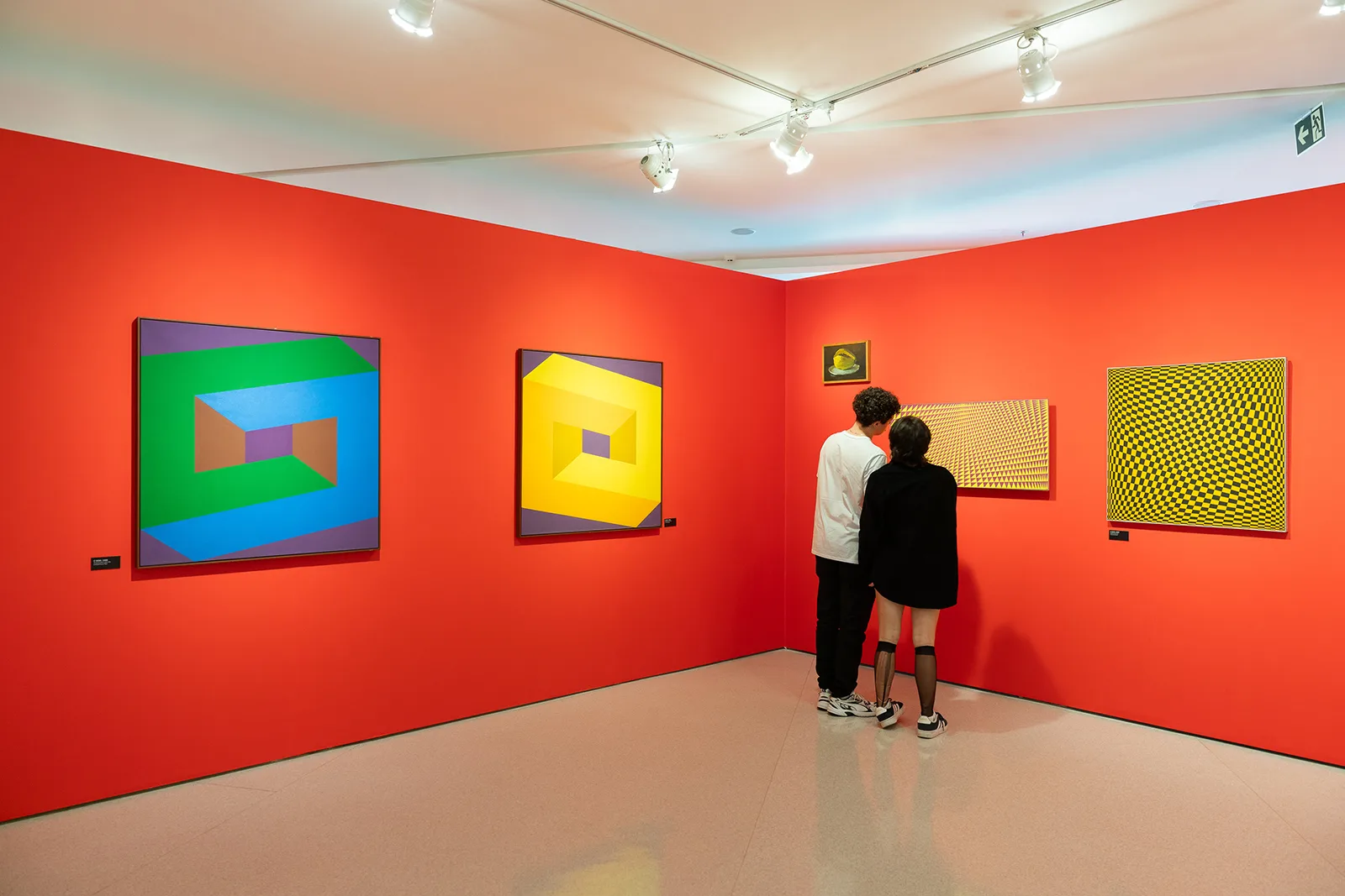 Exposição "Sacilotto contemporâneo: cor, movimento e partilha" no MAC USP, 2024