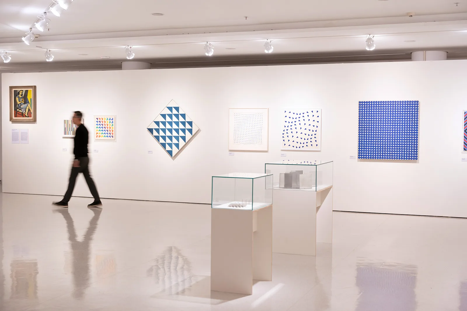 Exposição "Sacilotto Contemporâneo: cor, movimento e partilha", no MAC USP, 2024