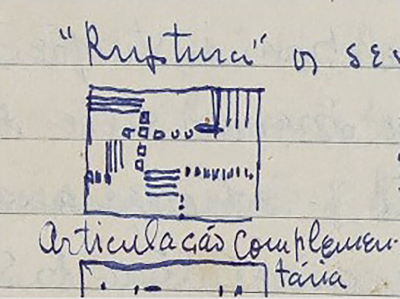 Articulação complementária, 1952